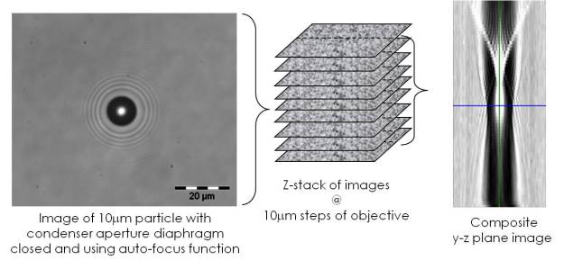 Image in optical microscope of polystrene particle in water (left), series of images at different positions of microscope objective (centre) and artificial image created from greyscale data along centre-lines of image series (right).