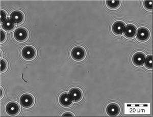 Out-of-focus image from optical microscope of 10 micron diameter polystrene spheres in water