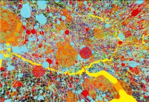 fruit fly nervous system Albert Cardona HHMI Janelia Research Campus Welcome Image Awards 2015