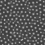 Decorative image of 10 micron spheres in nanoscope